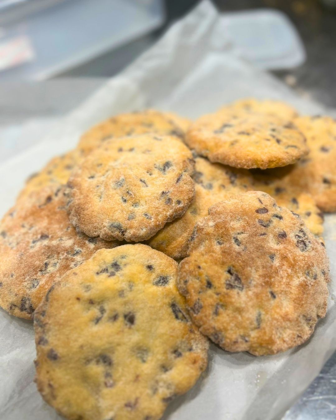 Cranberry Welsh Cake